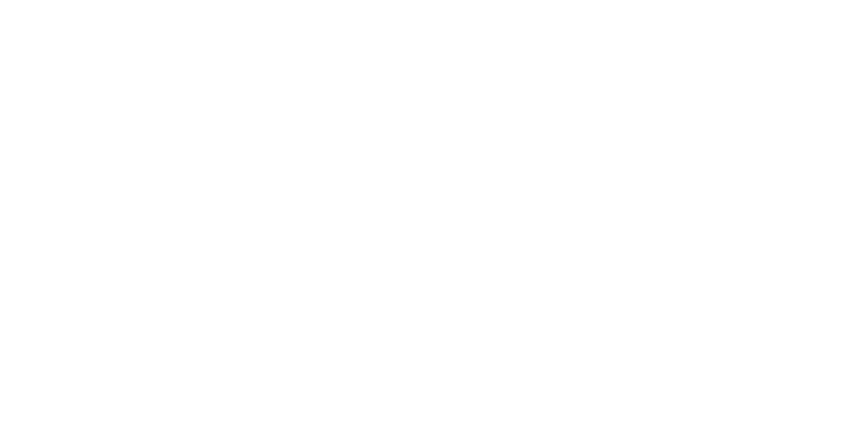 CIC-ის ლოგო